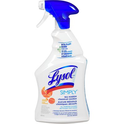 LYSOL APC SMPLY CITRS TRG 650.000ML